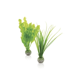 biOrb Easy plante sæt lille grøn - Biorb Dekoration